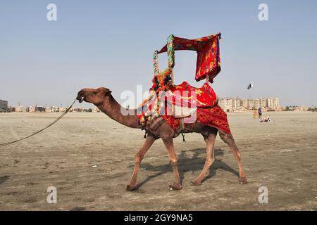 Style de vie à Clifton Beach à Karachi, Pakistan Banque D'Images