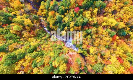 Antenne de cascade avec rivière et forêt en dessous avec arbres verts, orange, jaunes et rouges Banque D'Images