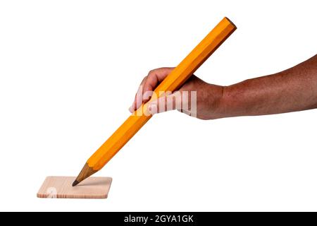 Une main mâle tient un très grand crayon jaune isolé sur un fond blanc. La pointe du crayon repose sur une planche en bois de couleur claire. Macro. Banque D'Images