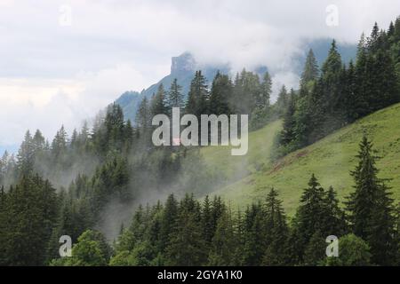 Brouillard qui s'infiltre dans un flanc de montagne. Vue à distance du mont Augstmatthorn. Banque D'Images