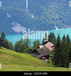 Le lac turquoise de Brienz et les chutes de Giessbach vus de Plalanalp. Célèbre site en Suisse. Banque D'Images