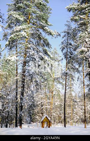 Maison en bois pour enfants à côté de grands pins dans la forêt d'hiver. Banque D'Images