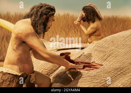 Réplique de l'homme préhistorique qui reçoit de la nourriture d'un animal au Musée Paléontologique de Cuenca, Castilla la Mancha, Espagne Banque D'Images