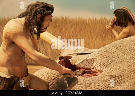 Réplique de l'homme préhistorique qui reçoit de la nourriture d'un animal au Musée Paléontologique de Cuenca, Castilla la Mancha, Espagne Banque D'Images