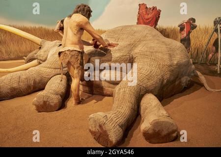 Réplique de l'homme préhistorique qui reçoit de la nourriture d'un animal au Musée Paléontologique de Cuenca, Castilla la Mancha, Espagne Banque D'Images