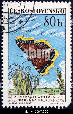 TCHÉCOSLOVAQUIE - VERS 1961: Un timbre imprimé en Tchécoslovaquie montre le manteau de Mourning, Nymphalis Antiopa, est un grand papillon originaire d'Eurasie et de No Banque D'Images