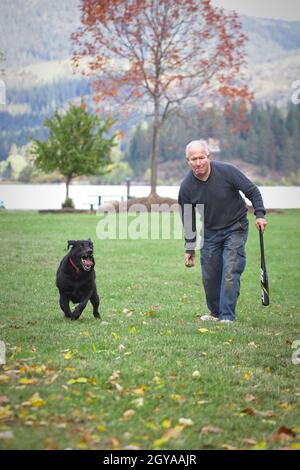 Une photo éditoriale d'un homme jouant FETCH avec son Labrador retriever noir à Hauser, Idaho. Banque D'Images