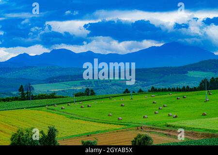 Image des grandes plaines d'Hokkaido. Lieu de tournage : Hokkaido Biei-cho Banque D'Images