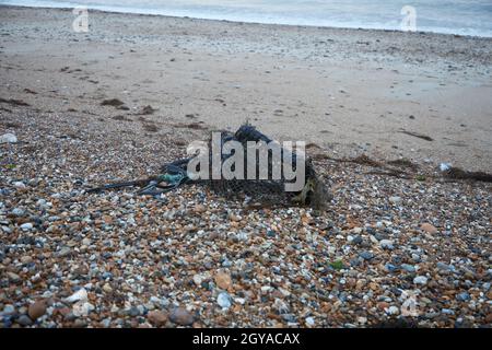 Crabpot et caoutchouc de Discarde trouvés sur la plage. Banque D'Images
