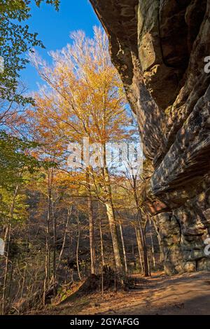 Les couleurs d'automne sortent d'Un impressionnant surplomb sur le Rim Rock National Recreational Trail, dans l'Illinois Banque D'Images