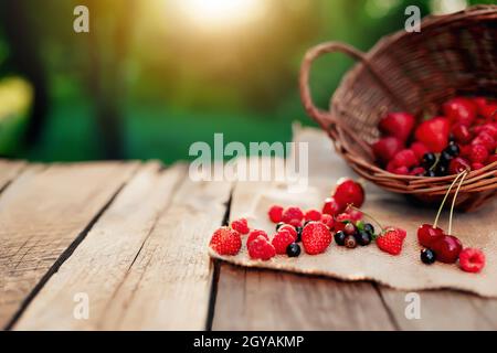Panier en osier renversé avec différentes baies sur un morceau de tissu sur fond de terrasse en bois au soleil flou du matin. Fraise, framboise, dev Banque D'Images