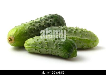 Trois concombres frais isolés sur fond blanc. Concombres verts Banque D'Images