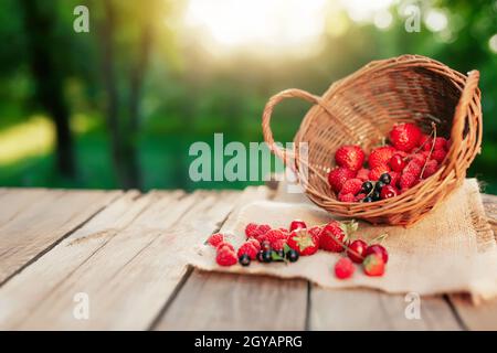 Panier en osier renversé avec différentes baies sur un morceau de tissu sur fond de terrasse en bois au soleil flou du matin. Fraise, framboise, dev Banque D'Images
