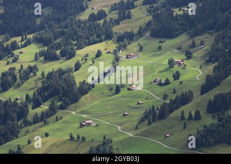 Prairie verte, forêt et maisons à Gsteig BEI Gstaad. Banque D'Images