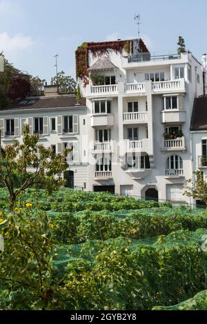 Paris - jardins dédié à Auguste Renoir entourent le musée de Montmartre Banque D'Images