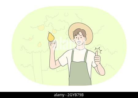 Jardinage, agriculture, profession professionnelle concept. Jeune homme souriant fermier en uniforme cueillant des poires récolte dans le jardin pour la vente et montrant des pouces u Banque D'Images