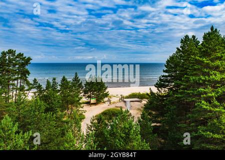 Ocean Sandy Beach et Conify Forest Landscape. Banque D'Images