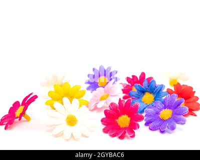 Fleurs multicolores sur fond blanc. Carte Postale. Anniversaire. Fête Des Mères. Saint Valentin. Journée Internationale De La Femme. Mariage. Placer pour le texte. Banque D'Images