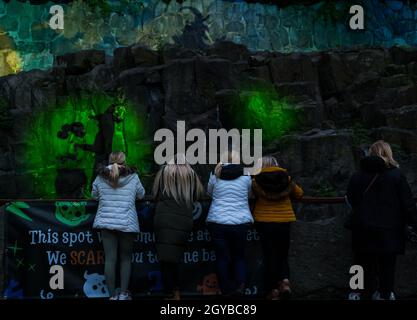 Zoo d'Édimbourg, Écosse, Royaume-Uni, 07 octobre 2021.Halloween Trail au zoo d'Édimbourg : le tout premier événement d'Halloween du zoo appelé ‘Spooktacular’ est un sentier d'Halloween illuminé pour les visiteurs Banque D'Images