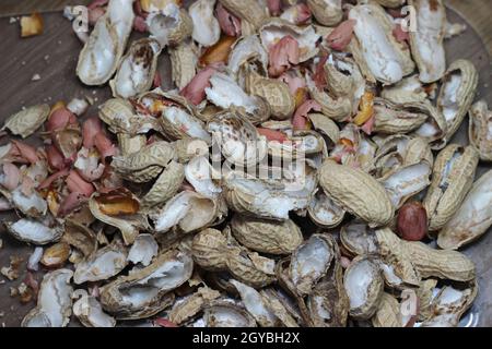 Les coquilles d'arachides vides se répartissent sur le sol. Arrière-plan de la coque d'arachide. Banque D'Images