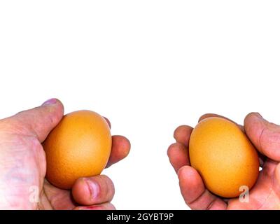 Deux œufs de poulet dans la main d'un homme. Œuf. Paume de main humaine. Une alimentation saine. Produits de volaille. Coquetiers de poulet. Mains d'un homme. Entreprise agricole. ECO Banque D'Images