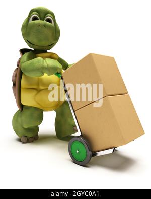 Rendu 3D d'une tortue avec des boîtes pour l'expédition Banque D'Images