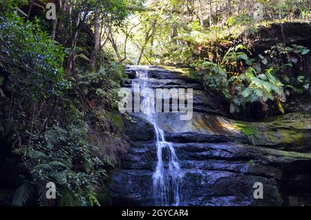 Cascade à la piscine de Siloam à Leura dans les Blue Mountains d'Australie Banque D'Images