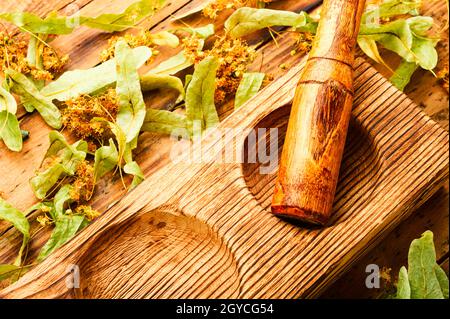 Linden parfumé dans un mortier et un pilon en bois élégants. Plantes de guérison. Plantes médicinales.fleurs et feuilles de linden Banque D'Images