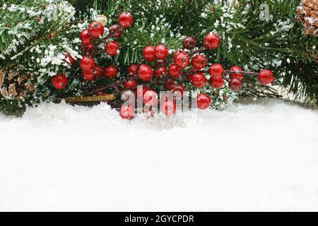 Baies de Noël niché dans la neige Banque D'Images
