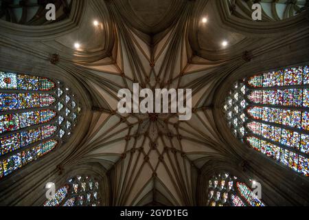 Magnifique « Jesse Window » à la cathédrale de Wells, représentant un arbre de Jesse et présentant la famille et les ancêtres du Christ. Banque D'Images