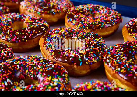 Plateau rempli de beignets de levure frais avec chocolat et saupoudrer de couleurs vives Banque D'Images