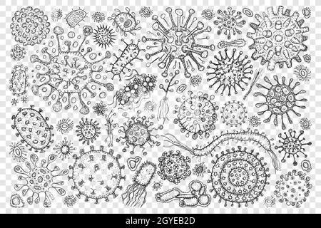 Jeu de doodle de molécule de virus de bactéries.Collection de molécules de bactéries microbe dessinées à la main de formes et de tailles différentes en microbiologie isolée Banque D'Images