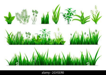 Ensemble d'herbe à ressort réaliste.Collection de style réaliste de plantes vertes fraîches dessinées ou jardin de saison plantes vertes feuilles mockup.Illustration Banque D'Images