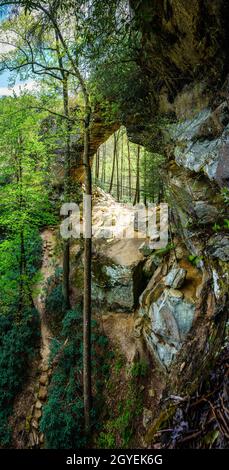 Vue panoramique de Grays Arch dans la gorge de Red River, Kentucky Banque D'Images