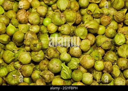Tomatillos frais de vert dans le récipient Banque D'Images
