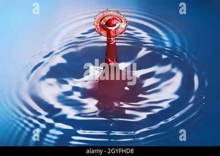 Les gouttes d'eau rouge se brisent et créent des ondulations dans de l'eau bleue propre Banque D'Images
