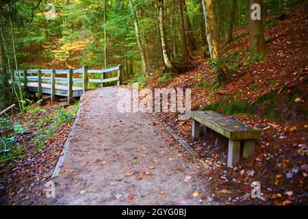 Sentier de randonnée dans la forêt avec feuilles d'automne, banc et promenade du pont à pied à distance Banque D'Images