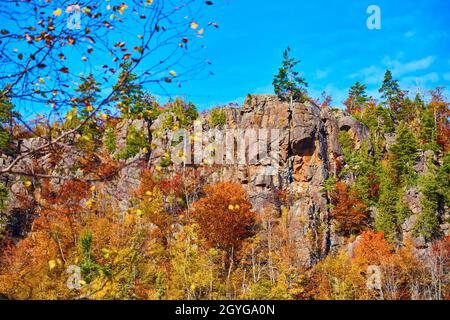 Falaise à distance avec foyer sur l'arbre solitaire au sommet de la falaise et encadré par des branches d'arbre floues Banque D'Images