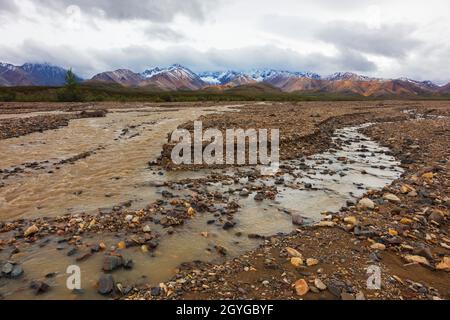 Les cours d'eau sinueux drainent la zone Polychrome qui drainent la vallée de la rivière Toklat - PARC NATIONAL DENALI, ALASKA Banque D'Images