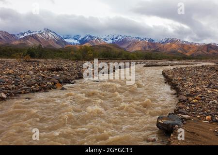 Les cours d'eau sinueux drainent la zone Polychrome qui drainent la vallée de la rivière Toklat - PARC NATIONAL DENALI, ALASKA Banque D'Images