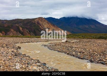 Les cours d'eau sinueux drainent la zone Polychrome qui drainent la vallée de la rivière Toklat - PARC NATIONAL DENALI, ALASKA Banque D'Images