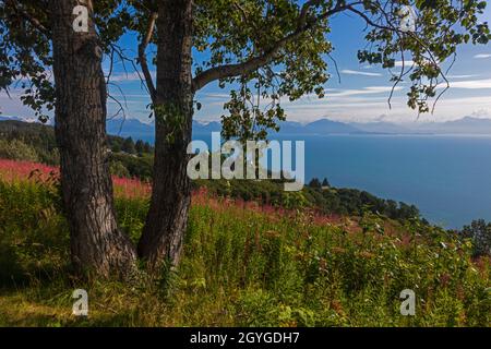 BAIE DE KACHEMAK et vue sur la chaîne de montagnes Chugach du parc national de Kachemak Bay - HOMER, ALASKA Banque D'Images