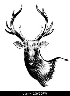 Tête de cerf. Encre noire et blanche Banque D'Images
