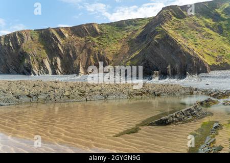 Speke's Mill Mouth près de Hartland Quay, sur la côte nord du Devon, à marée basse, en regardant les roches et les falaises géologiquement intéressantes Banque D'Images