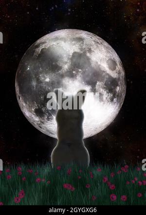 Mignon lapin blanc dans la prairie et pleine lune, éléments de cette image fournie par la NASA.Illustration 3D. Banque D'Images