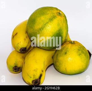 Deux mandarines aigres vertes et jaunes. Trois bananes mûres. Isolées sur fond blanc, effet de bruit Banque D'Images