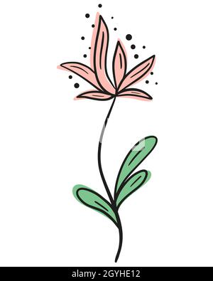 Une belle fleur art, illustration vectorielle.Image de contour faite main d'une fleur en fleur élégante.Contour noir et taches colorées, botanica Illustration de Vecteur