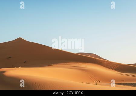 Une personne grimpe une immense dune dans le désert du Sahara Banque D'Images