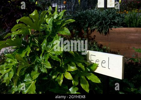 Le jardin sensoriel communautaire, War Memorial Park, Coventry, West Midlands, Angleterre,ROYAUME-UNI Banque D'Images