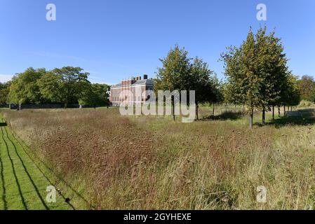 Londres, Angleterre, Royaume-Uni.Jardins de Kensington : prairie de fleurs sauvages par le Palais de Kensington en octobre.Le projet a commencé en septembre 2018, Banque D'Images